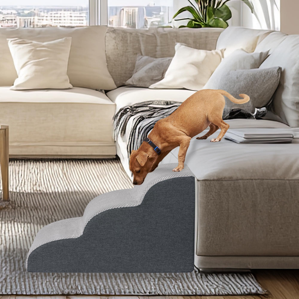 OYLZ Pet Steps on sofa demo for pets under 50 lbs