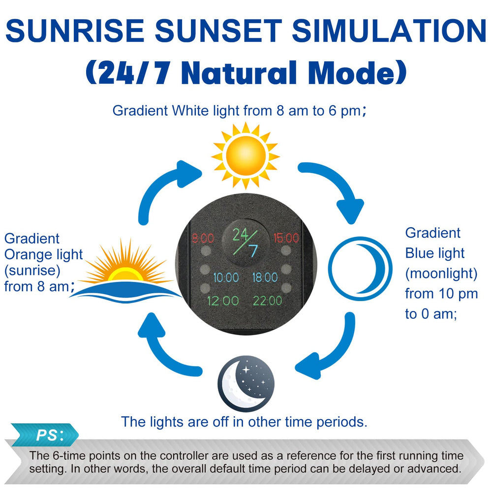 OYO WATER Sunrise/Sunset simulation provides natural day-night cues for calmer fish and plants.
