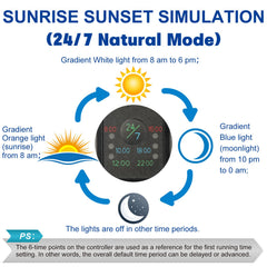 OYO WATER Sunrise/Sunset simulation provides natural day-night cues for calmer fish and plants.