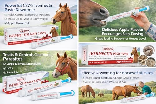 OZIPCO ivermectin horse paste apple flavor syringe viewed during administration.
