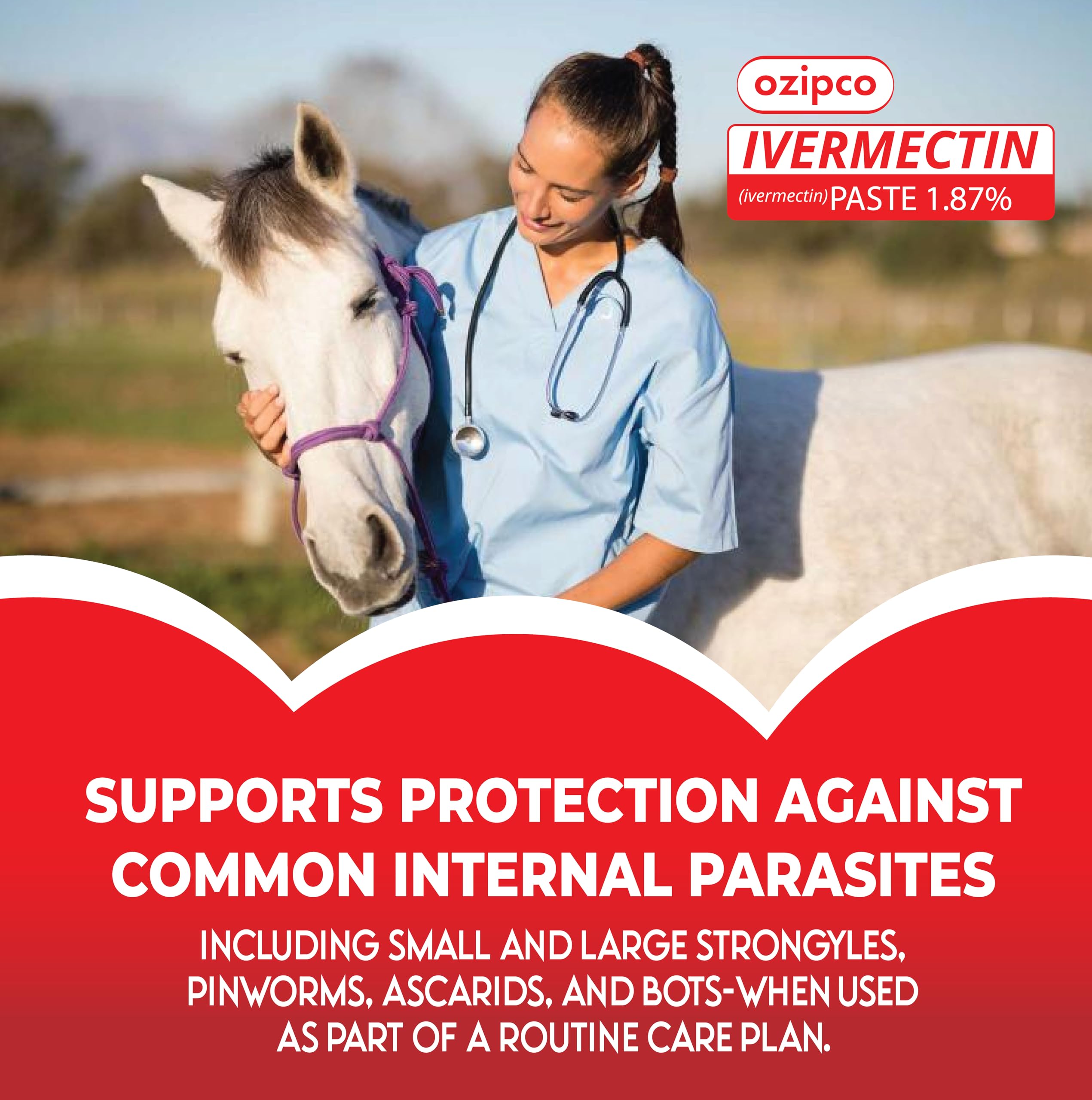OZIPCO Ivermectin horse paste apple-flavor close-up shows clear labeling for safe use.