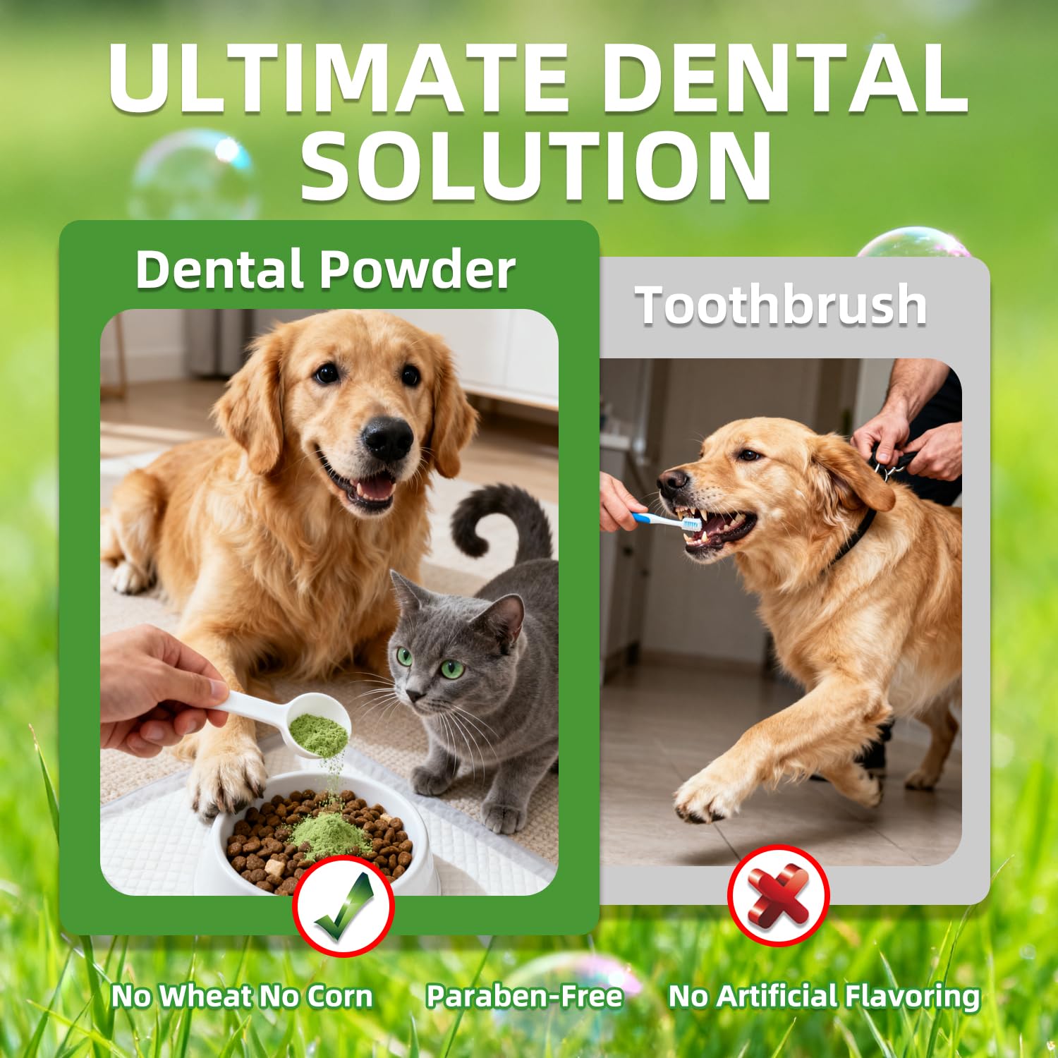 OZOXOO powder being spooned over dog food for simple care routine.