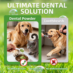 OZOXOO powder being spooned over dog food for simple care routine.