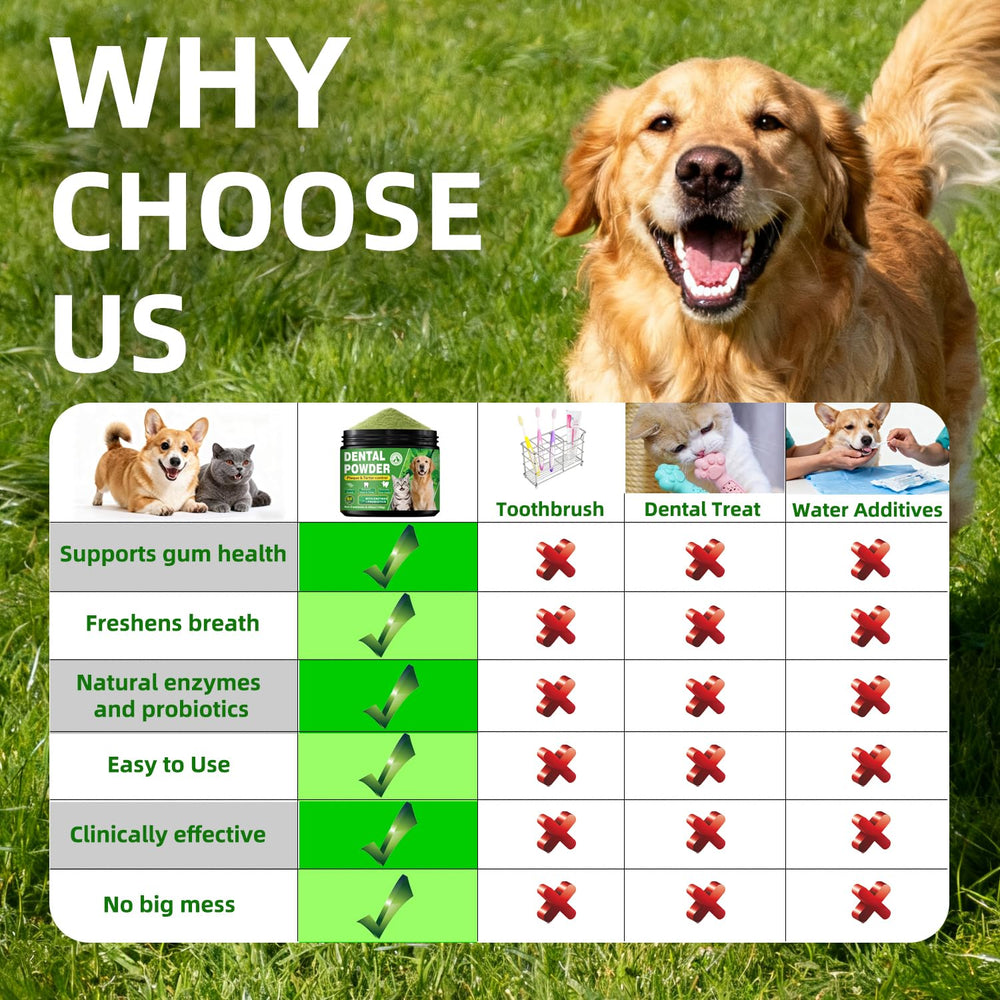 OZOXOO measuring scoop demonstrates easy daily dosing for pet parents.