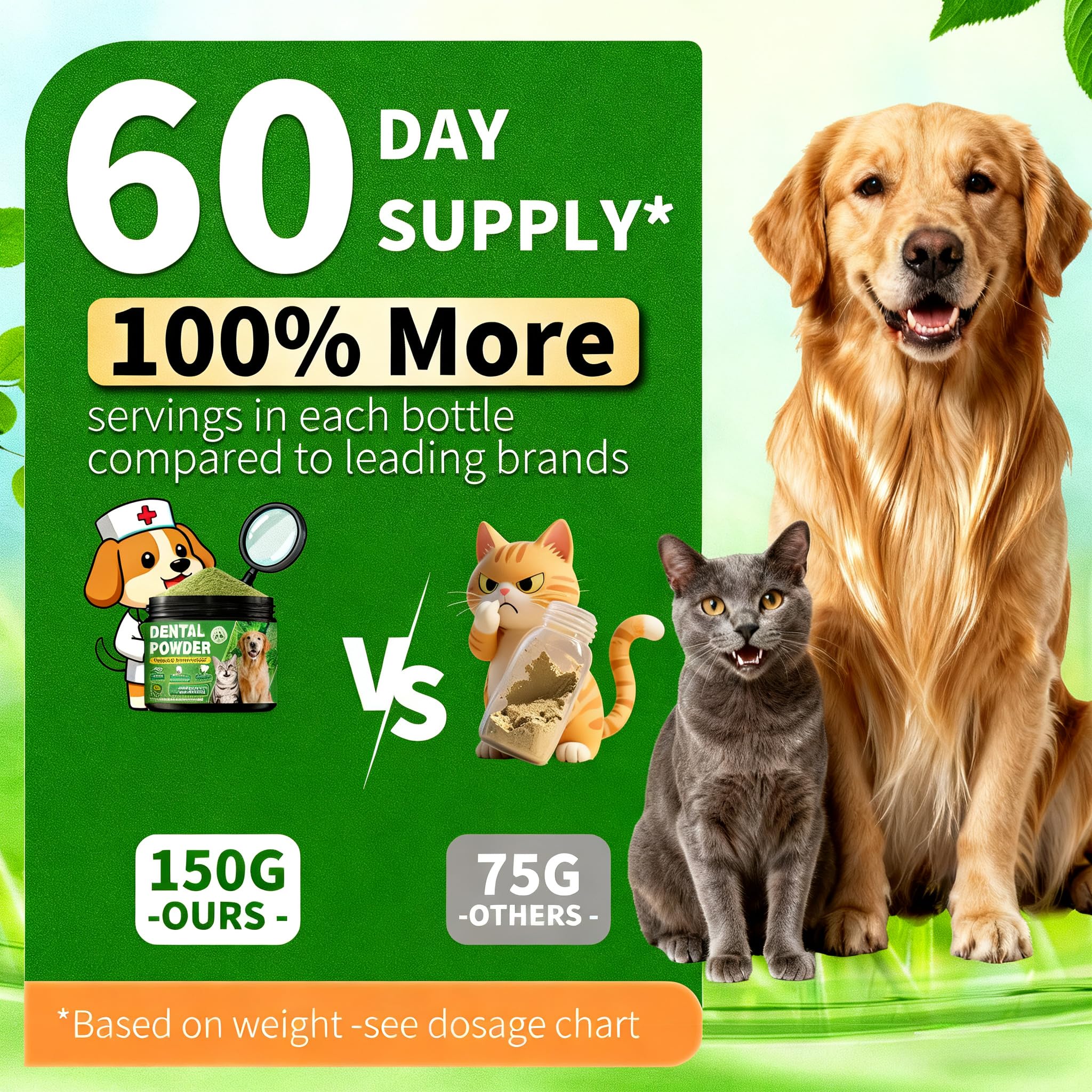 OZOXOO dog dental powder in daily routine supports oral care.