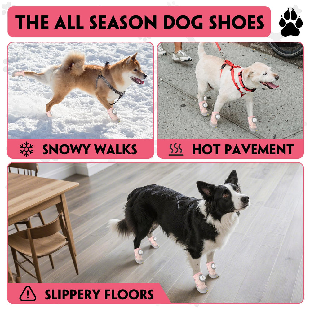 paatata dog shoes four-pack packaging highlights value and paw protection for all paws.