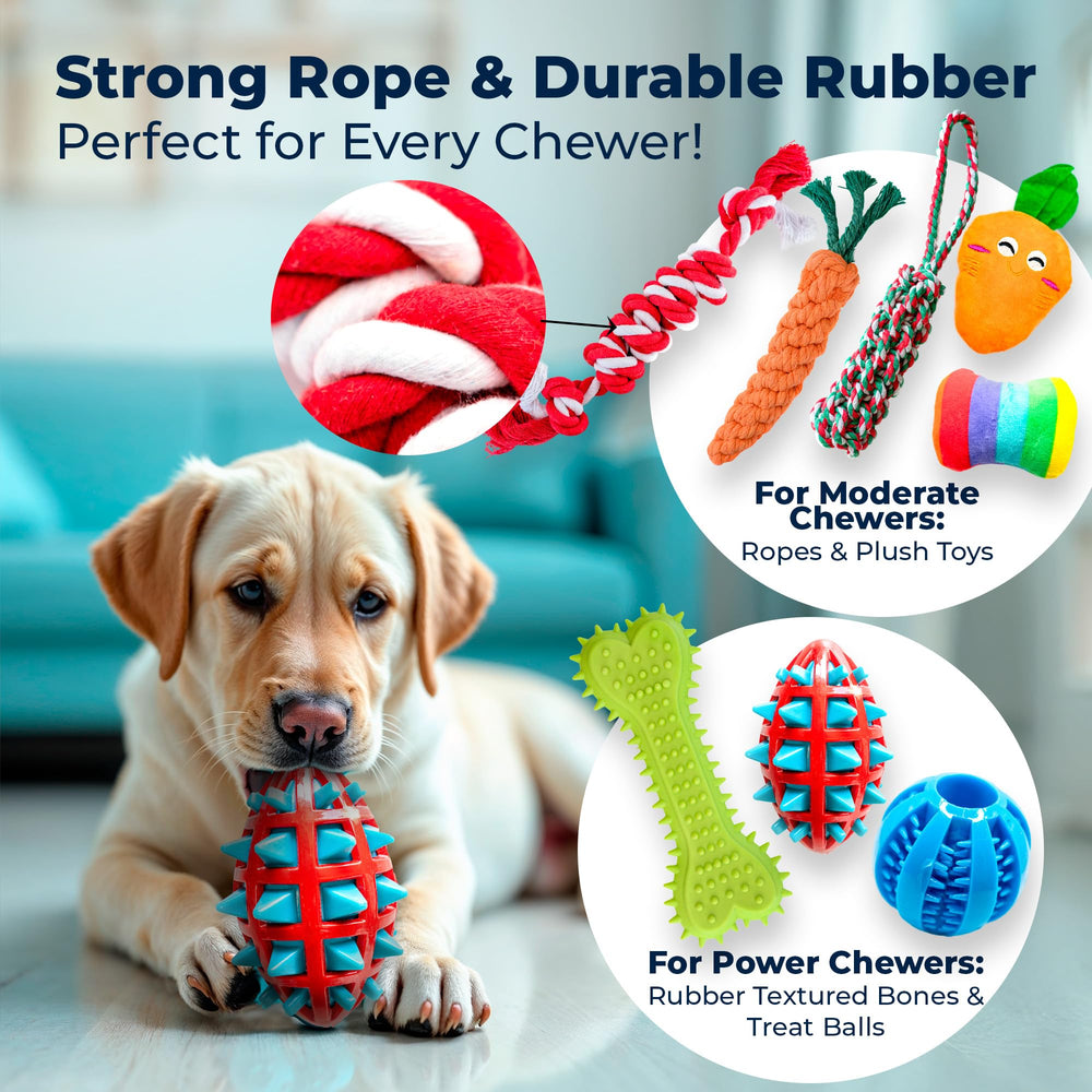 Pacific Pups dog toy bundle offers size variety for small and medium dogs