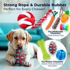 Pacific Pups dog toy bundle offers size variety for small and medium dogs
