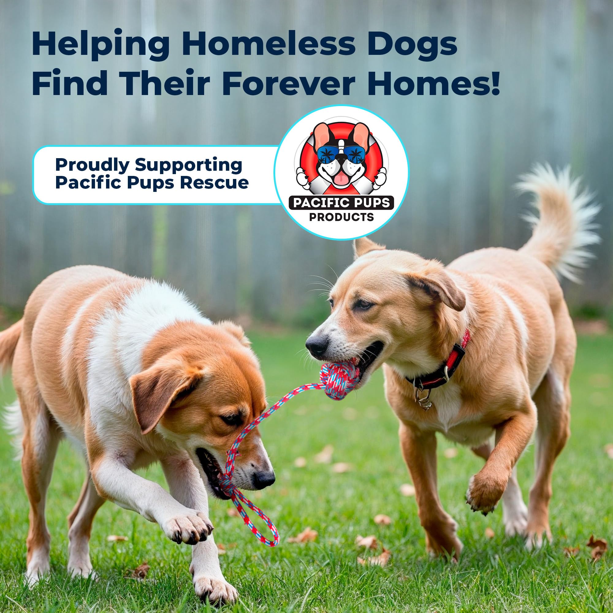 Pacific Pups toy pack includes poop bags and holder for convenient walks