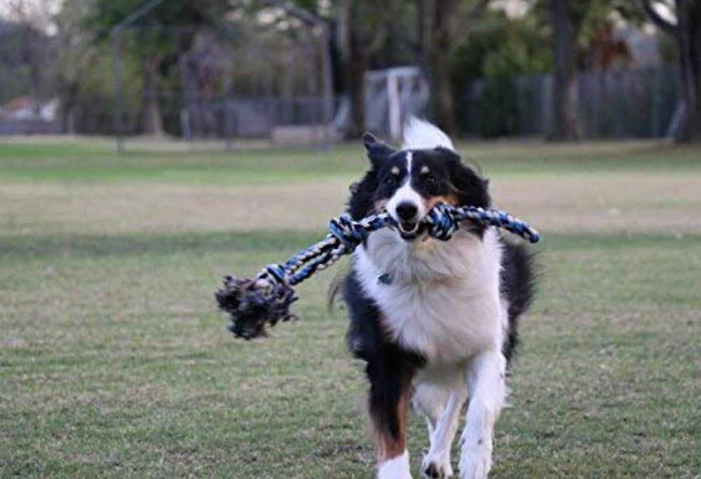 Pacific Pups Products large dog rope toy teething-friendly design for large-breed puppies.