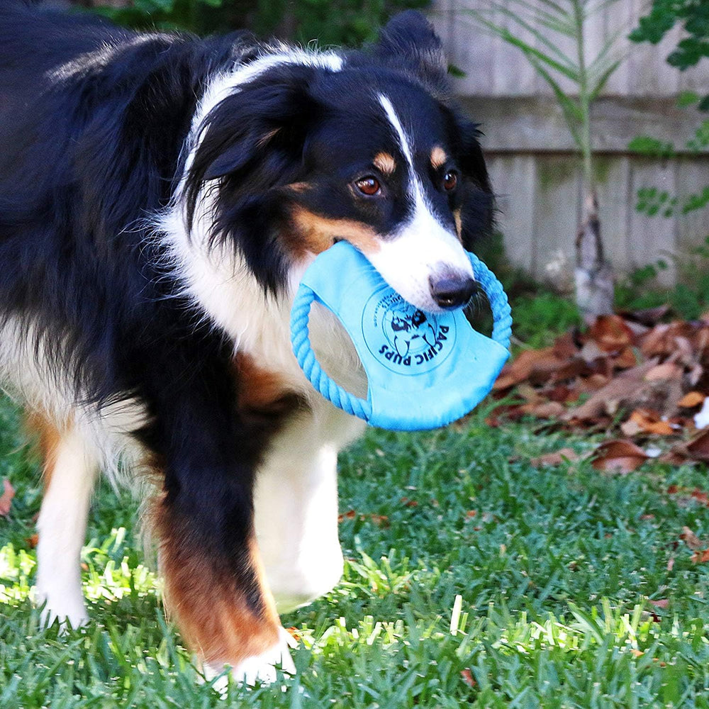Pacific Pups safety-tested durable rope toy design without plastic.