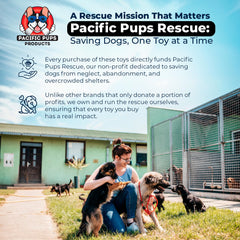 Pacific Pups rescue-support toys help LA-based rescue dogs find loving homes
