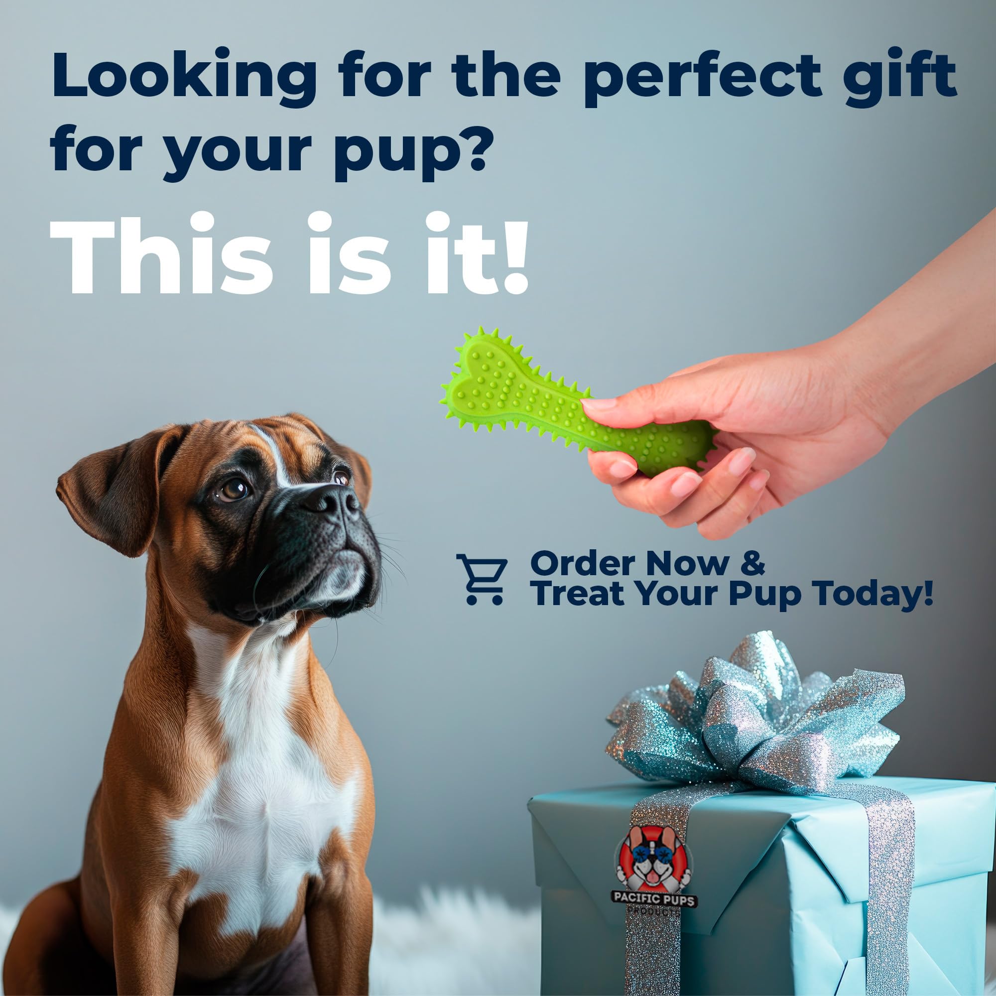Pacific Pups squeaky and plush toys invite interactive fetch and cuddle sessions