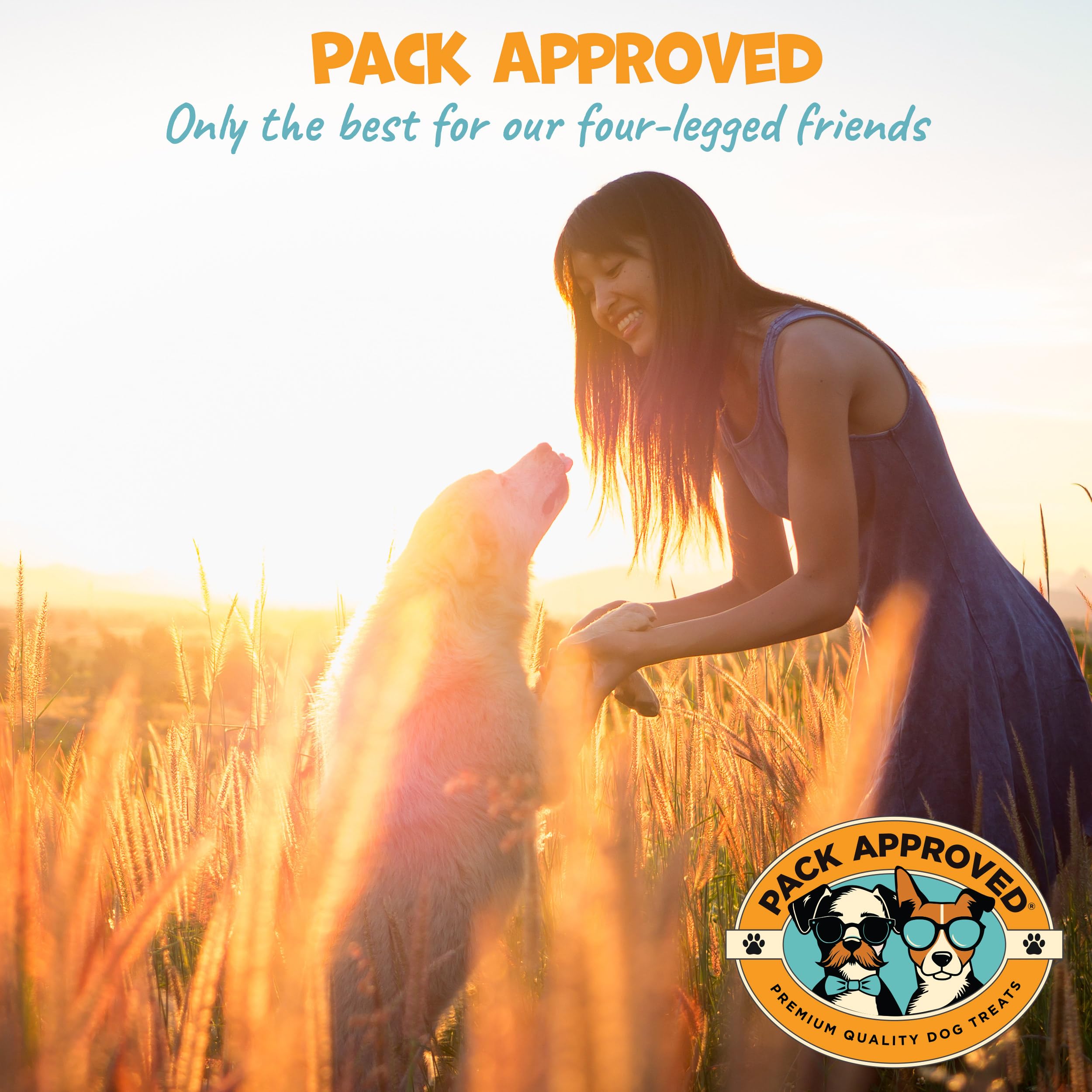 Pack Approved 12-count bag close-up suggests convenient daily rewards for dogs.