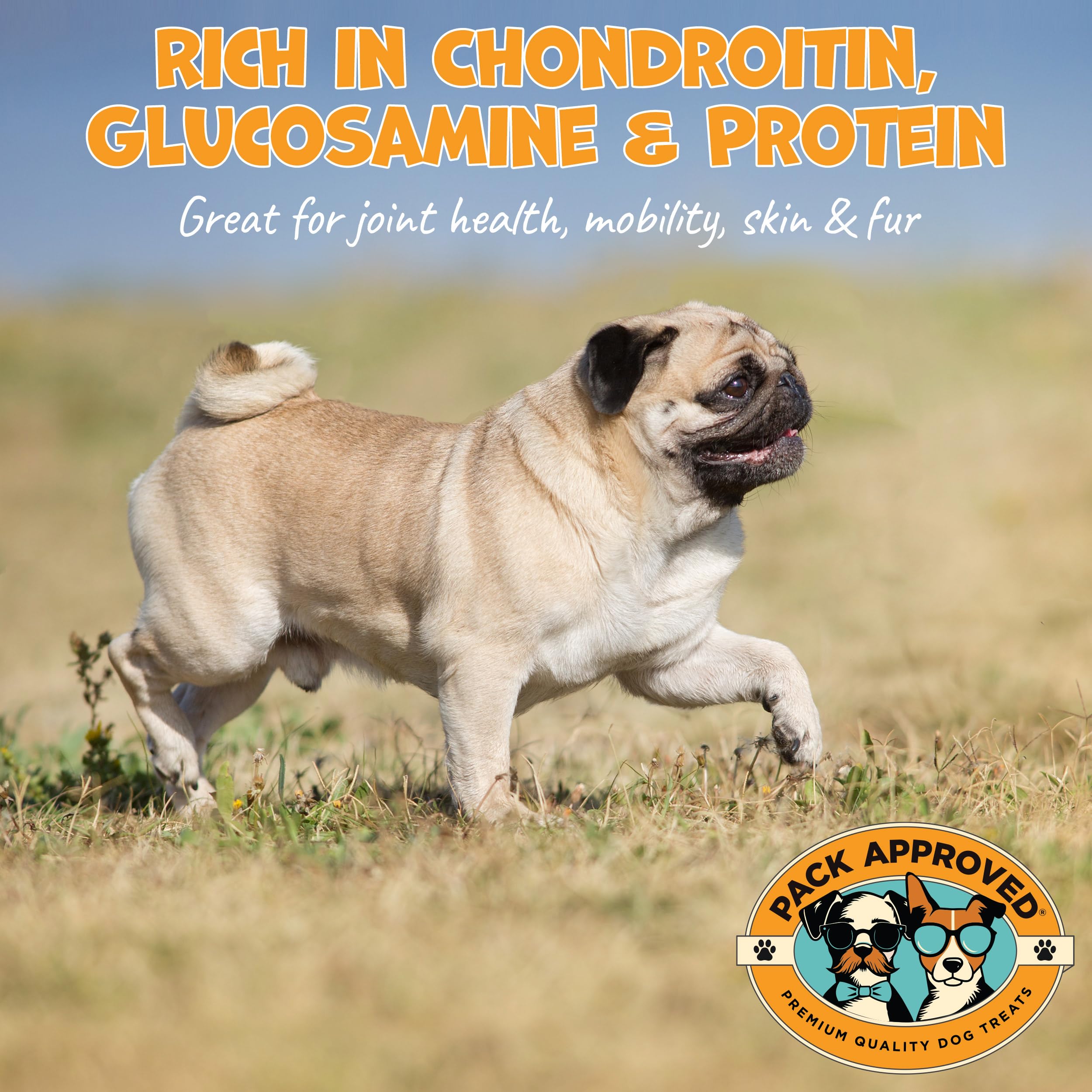 Pack Approved Beef Collagen Chews ring teething image suggests puppy teething potential.
