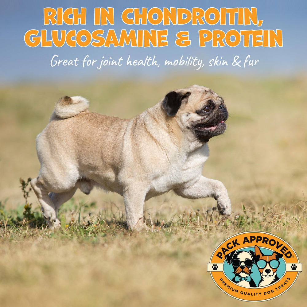 Pack Approved Beef Collagen Chews ring teething image suggests puppy teething potential.
