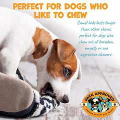 Pack Approved camel skin chews in hand demonstrates long-lasting entertainment for dogs.