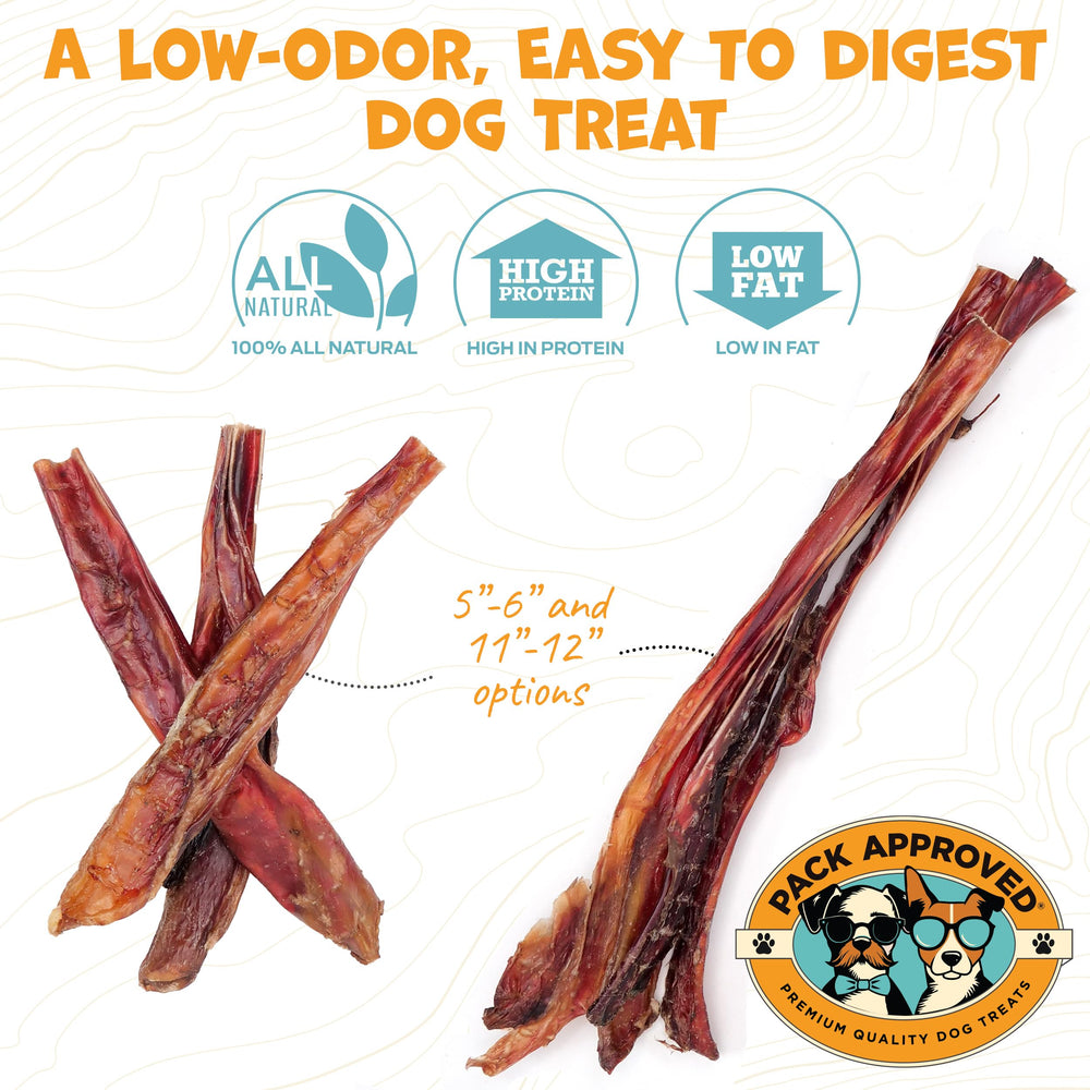 Pack Approved digestible dog chews close-up shows long-lasting, rawhide-free option.