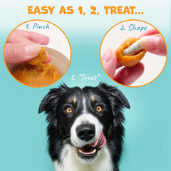 Pack Approved Flavor-Doh low-calorie pill hider supports everyday dog medication routines.
