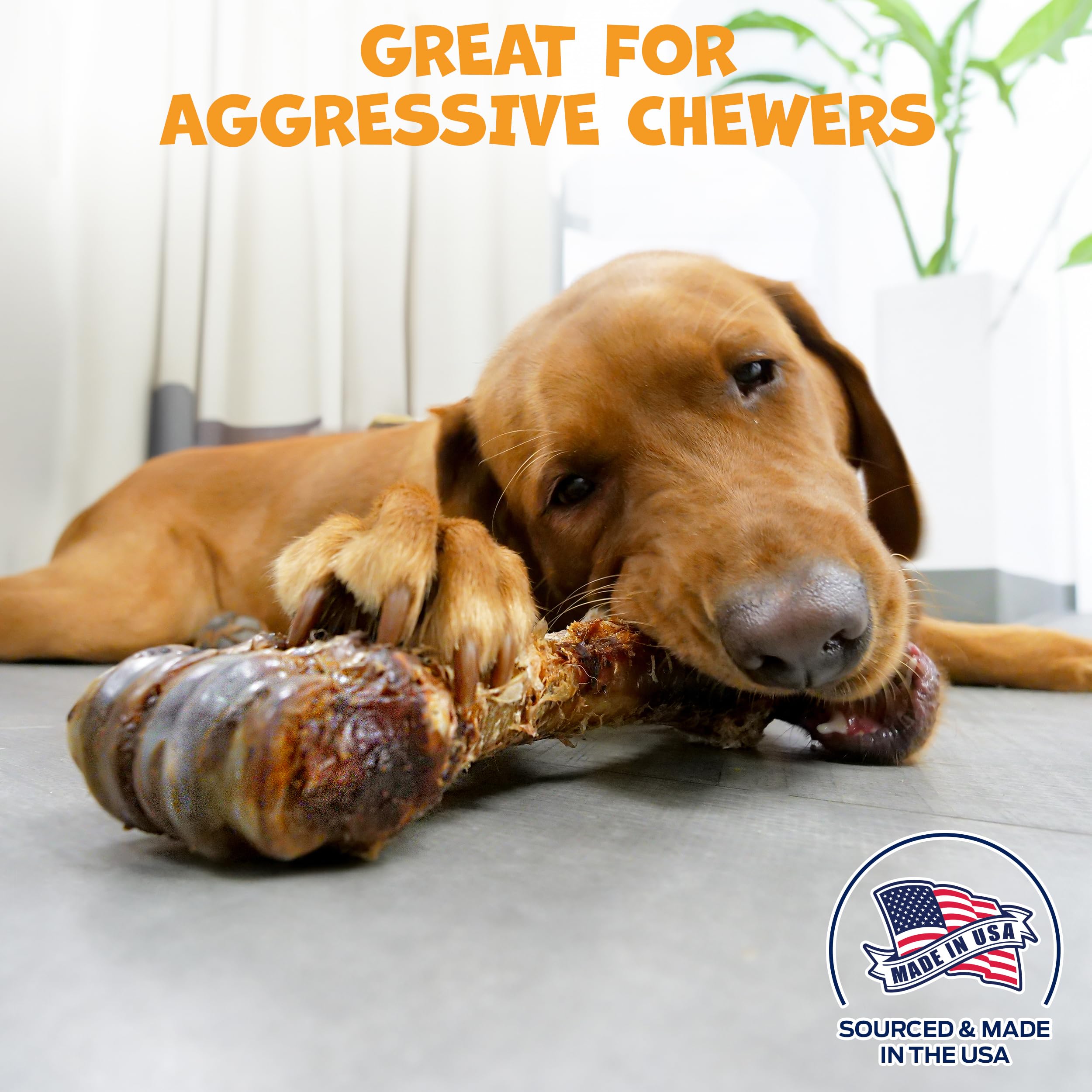 Pack Approved long-lasting chews for large dogs help curb boredom with hours of satisfying gnawing.