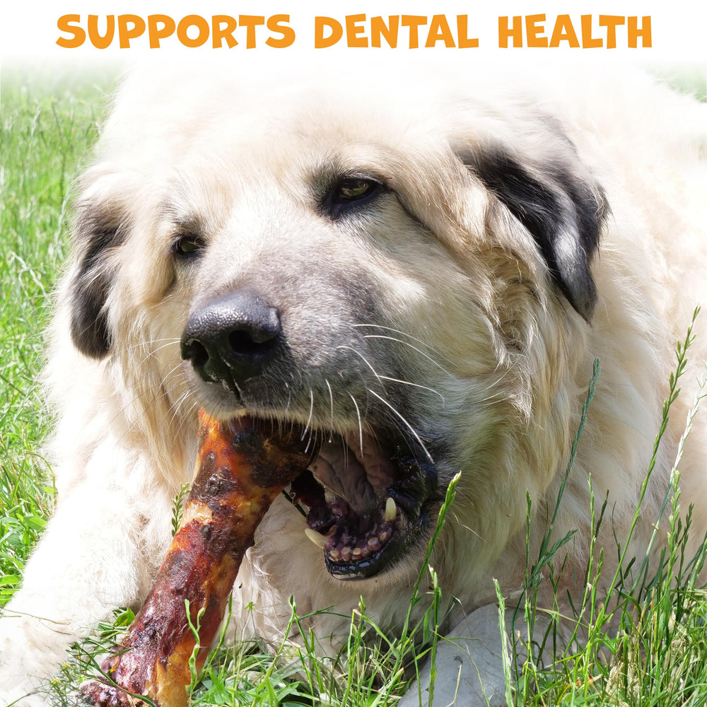Pack Approved safe digestible bones for dogs, ideal for sensitive stomachs and allergies.