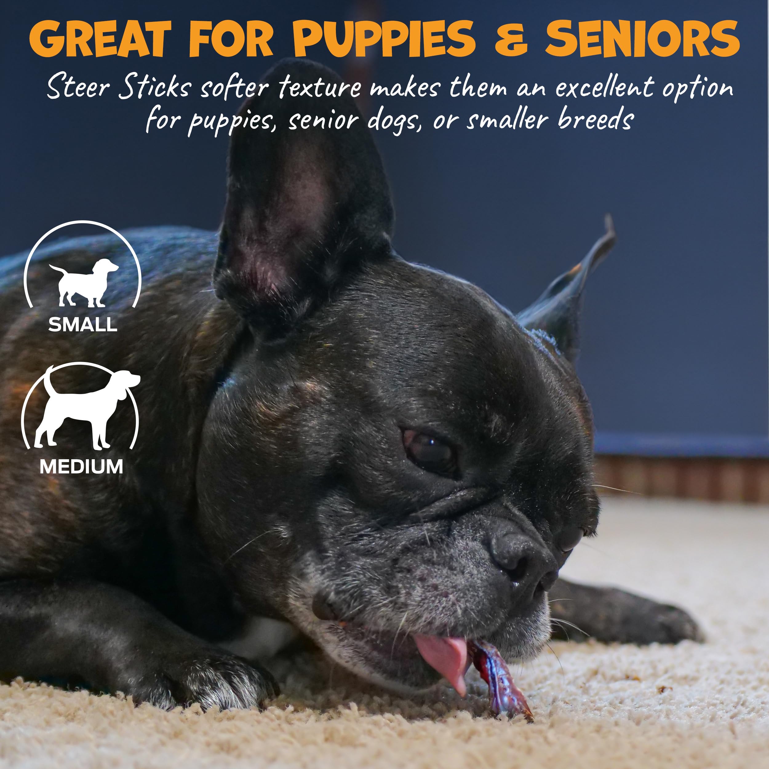 Pack Approved single-ingredient beef-pizzle dog treat close-up highlights natural, digestible chew.