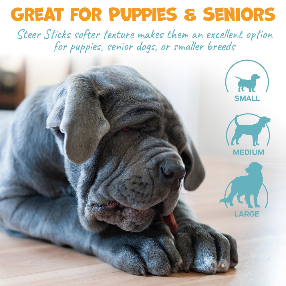 Pack Approved steer pizzle stick easy chew scene emphasizes gentler bite and digestion