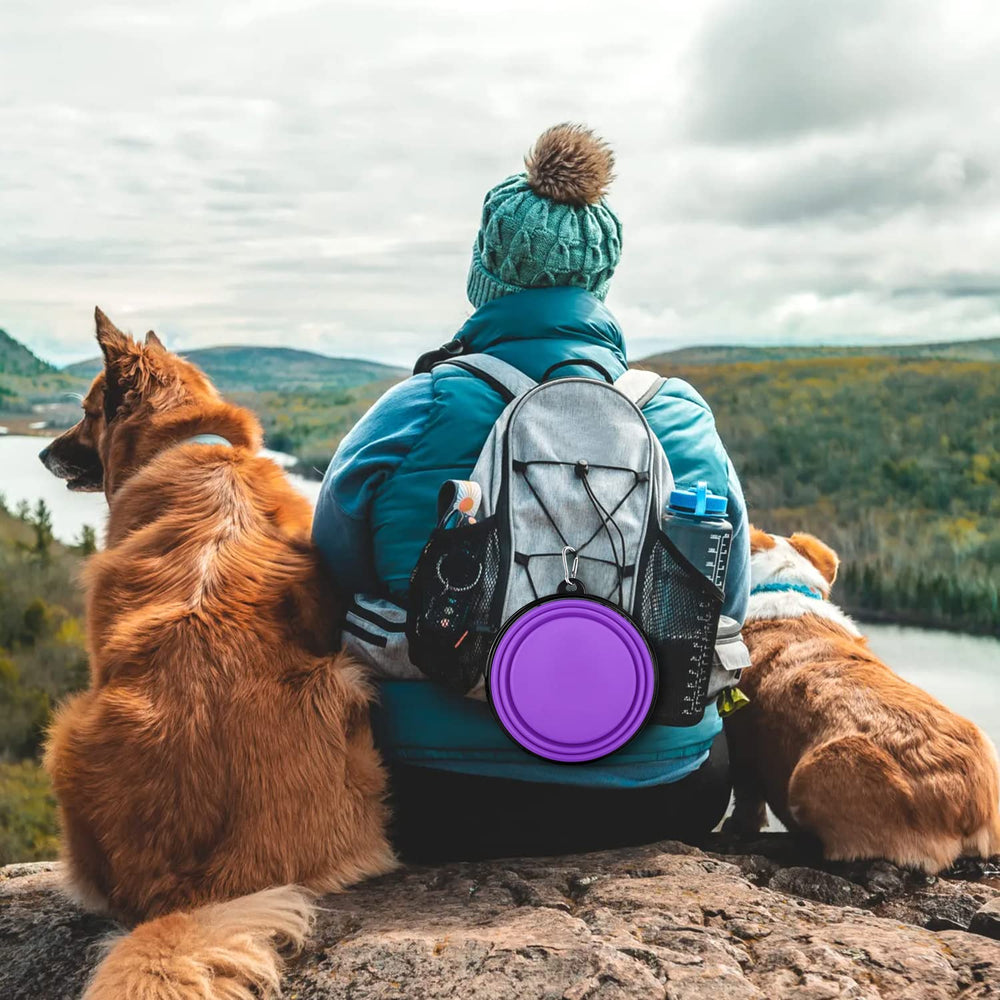 Paercute dog drinking from expanded bowl during a walk.