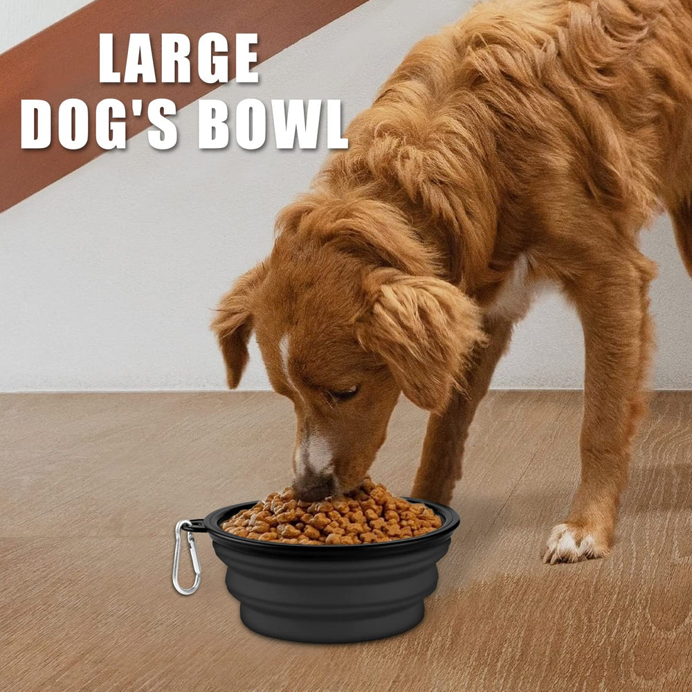 Paercute collapsible dog bowl in use with dog drinking on hike