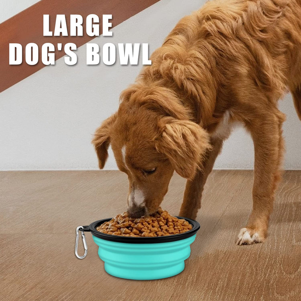 Paercute lightweight dog bowl on trail demonstrates travel-friendly design for pets.