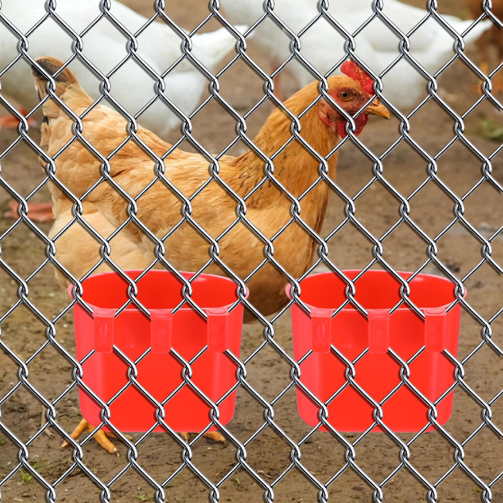 Pafeooui multi-purpose feeding dish supports bird, bunny, and small-pet nutrition.