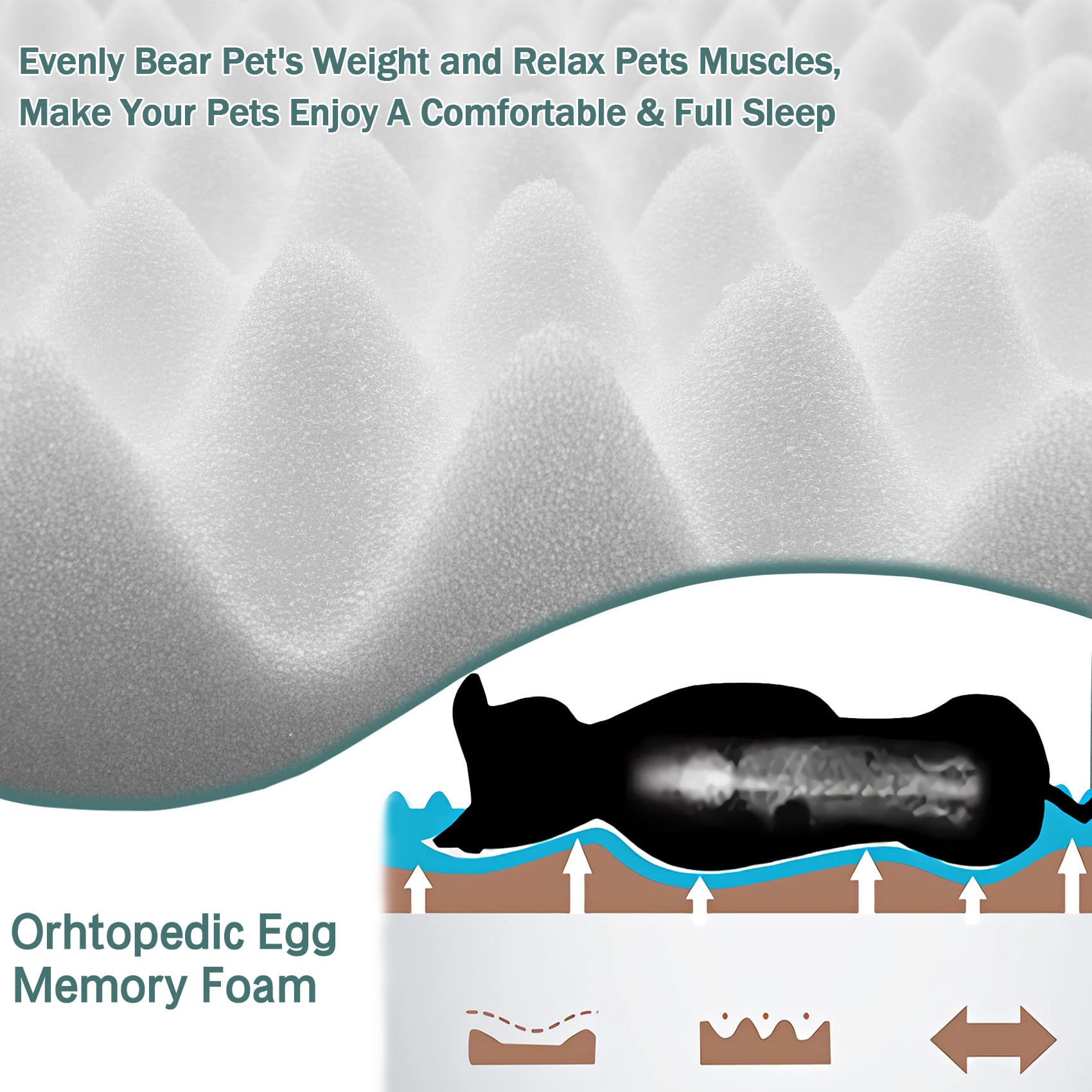 PAGGED memory foam inside crate pad shows even weight distribution for joints.