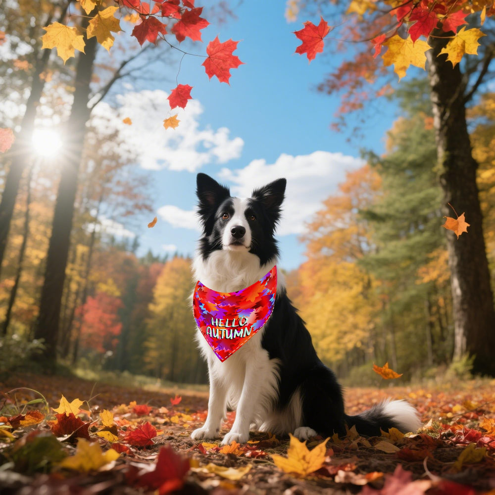 Pai Sence autumn pattern bandana highlights leaves and gnomes for photos.