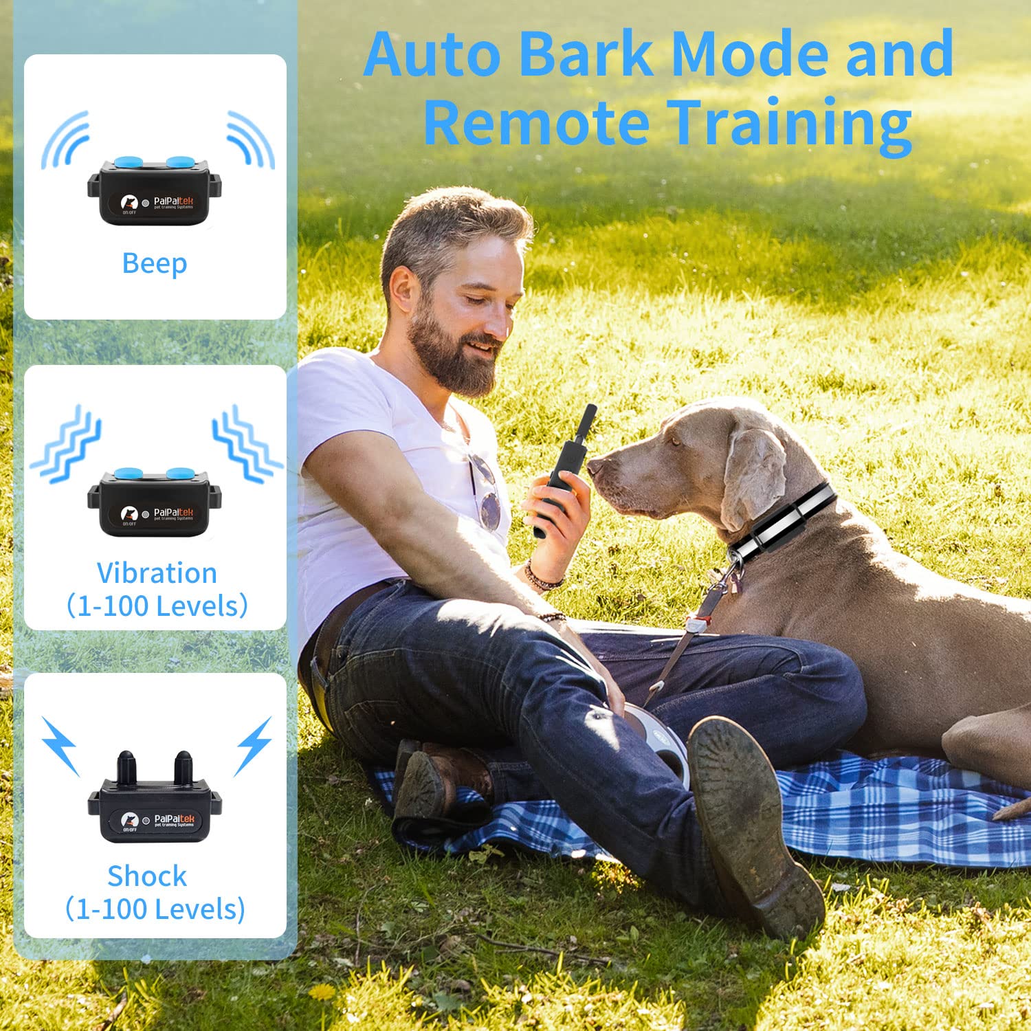 PaiPaitek automatic bark detection image for automatic correction and better peace at home.