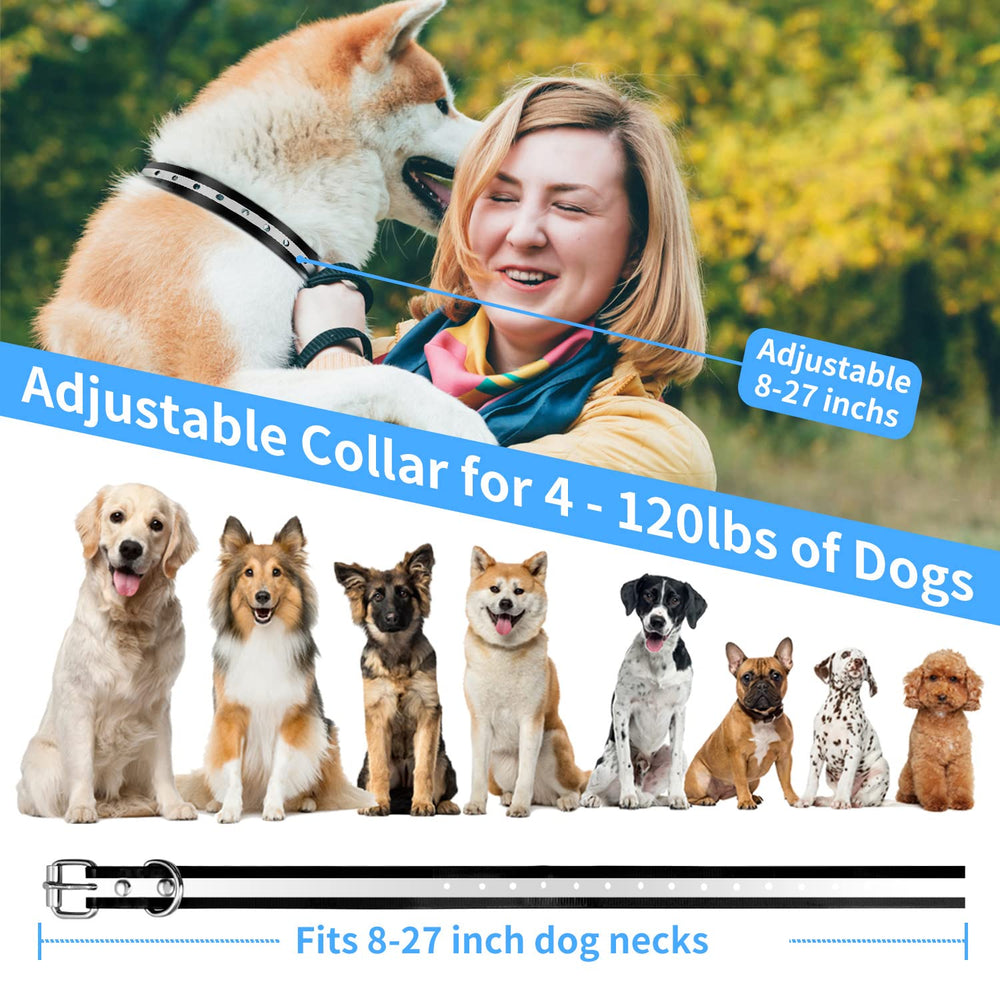 PaiPaitek silicone-contact-points: skin-friendly fit for long- and short-haired dogs.