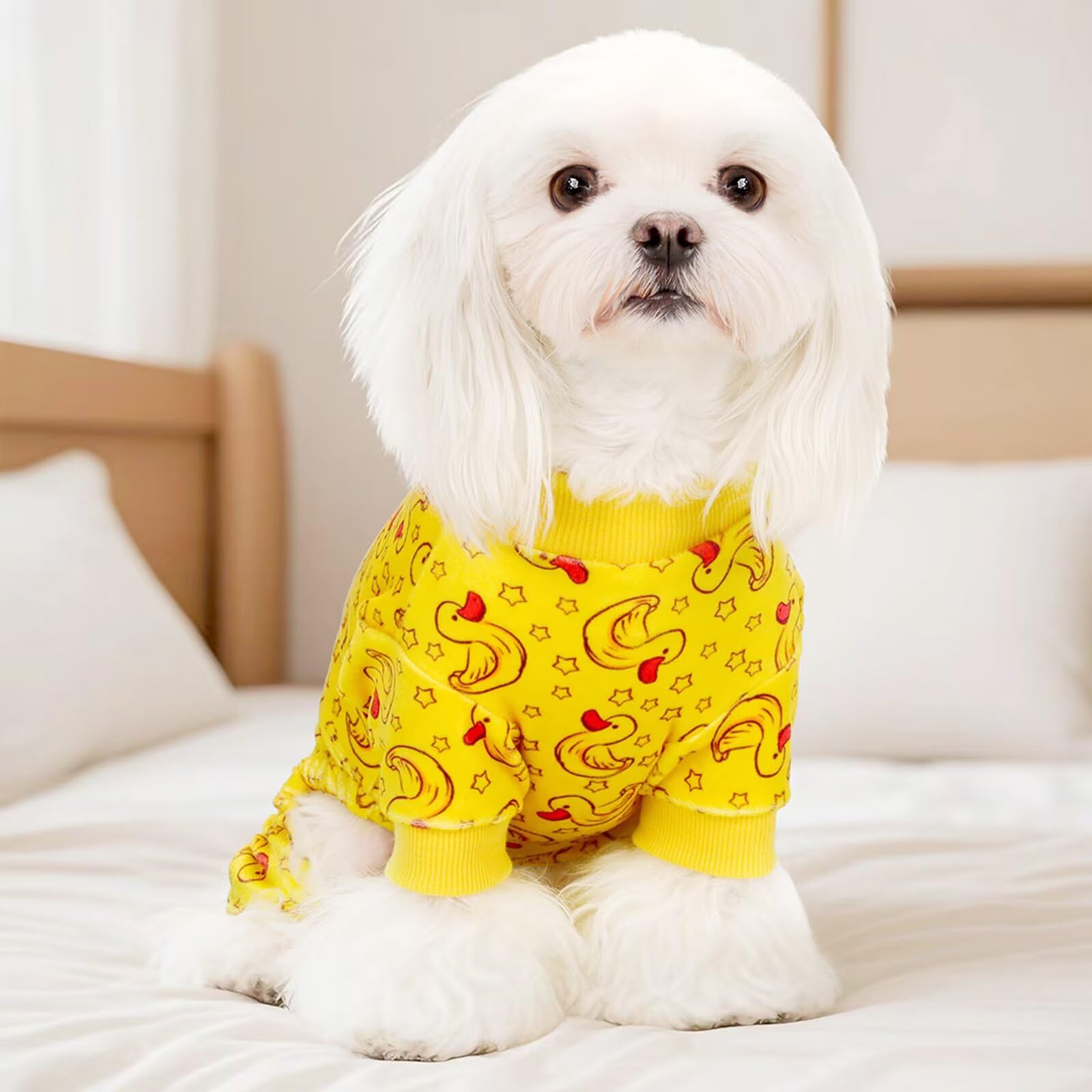 Paiaite dog pajamas onesie nighttime-comfort promotes cozy evenings and restful sleep.