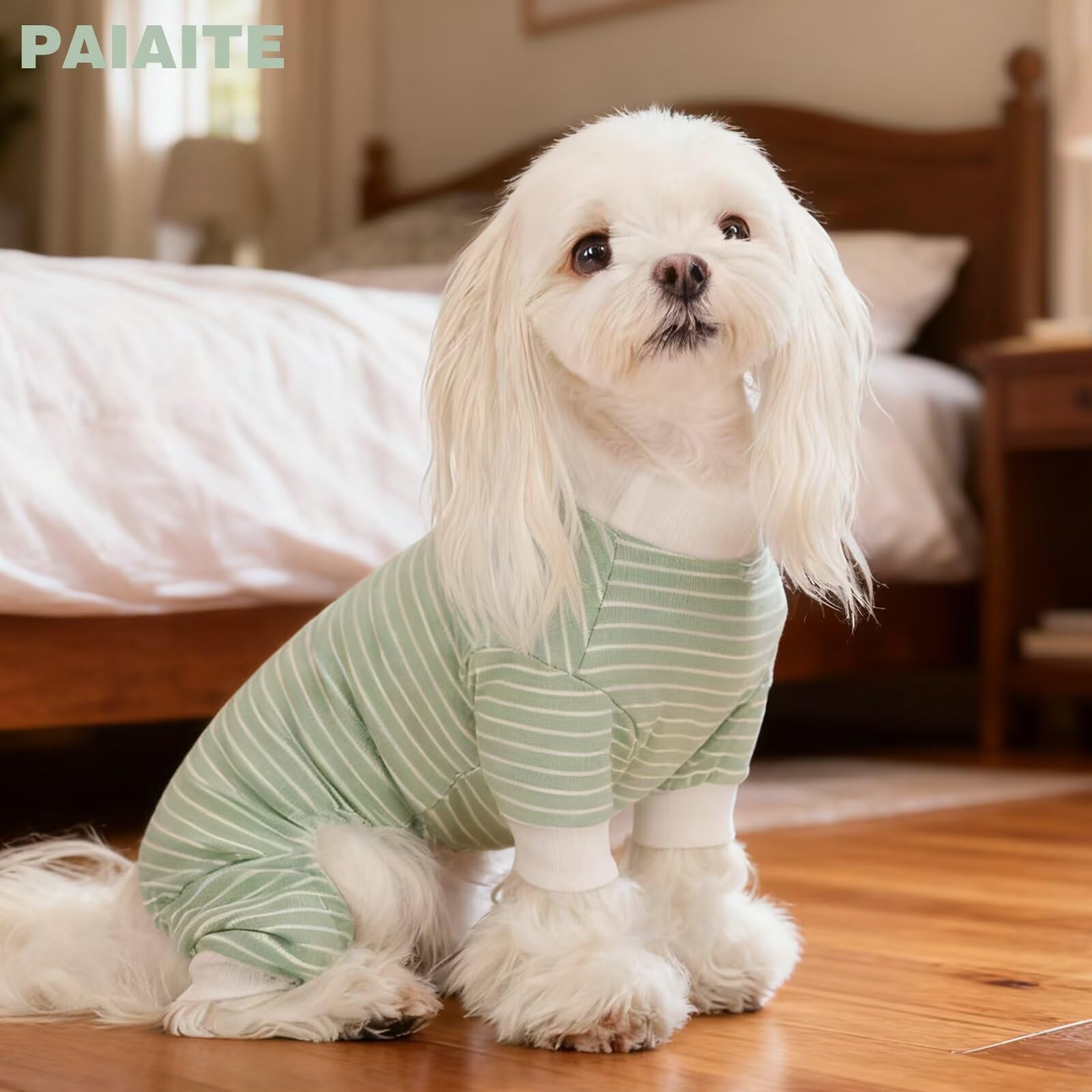 Paiaite green striped dog pajamas worn during nap for cozy indoor comfort