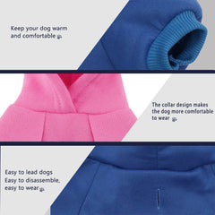 Paiaite small-dog fit keeps chihuahua comfortable during daily wear
