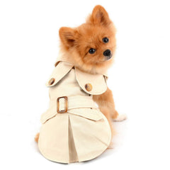 PAIDEFUL pet trench coat front view shows windproof design for autumn walks.