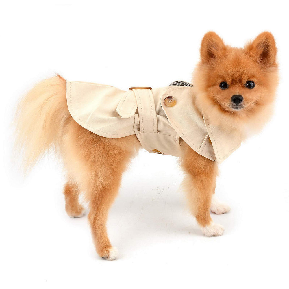 PAIDEFUL trench coat side view highlights slim belted fit for chic wear.