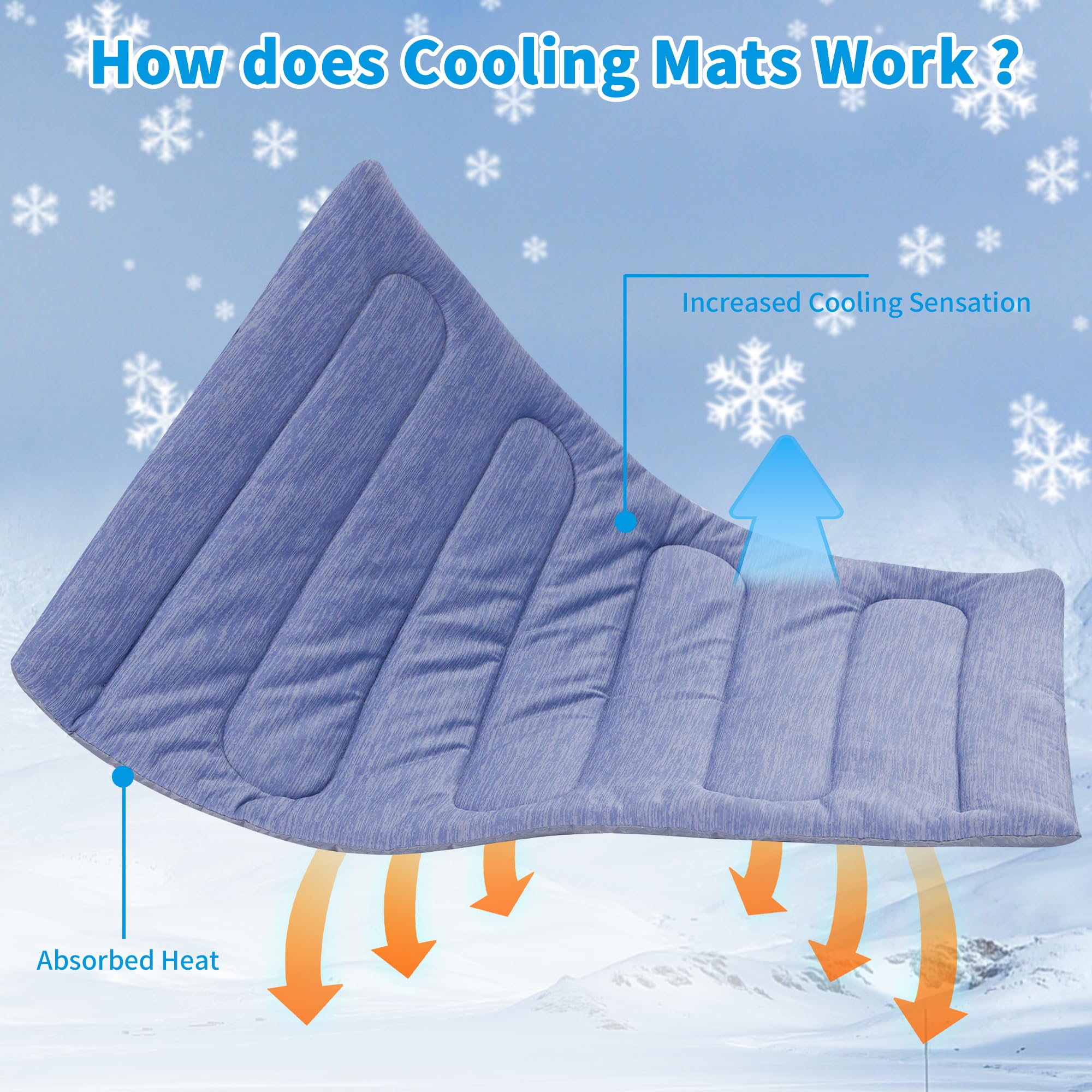 PAIGTEK machine-washable dog mat keeps care simple and tidy.