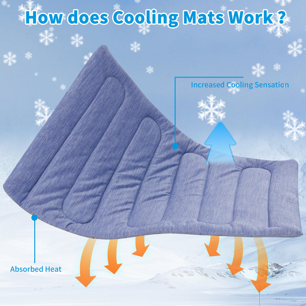 PAIGTEK machine-washable dog mat keeps care simple and tidy.
