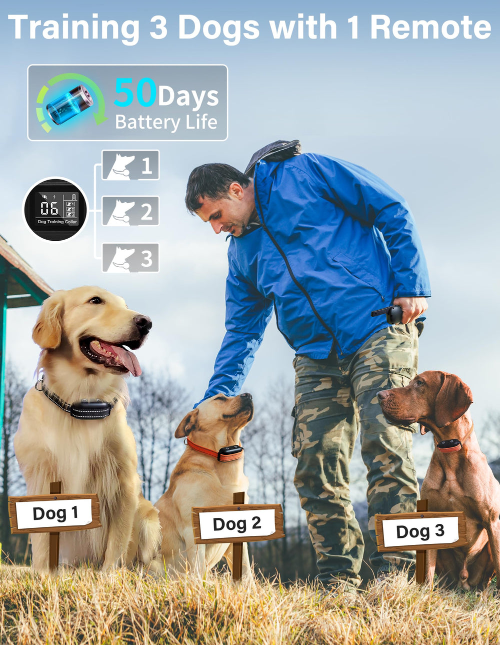 PaiPaitek bark collar remote with 3300ft-range field testing