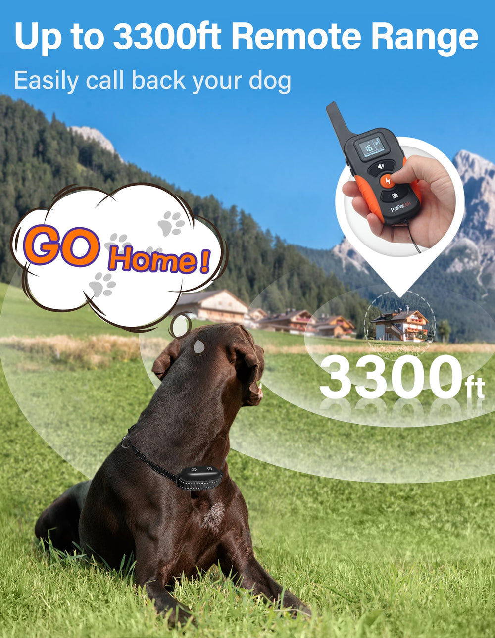 PaiPaitek bark collar 9 beeps and vibration levels demonstrated on a dog