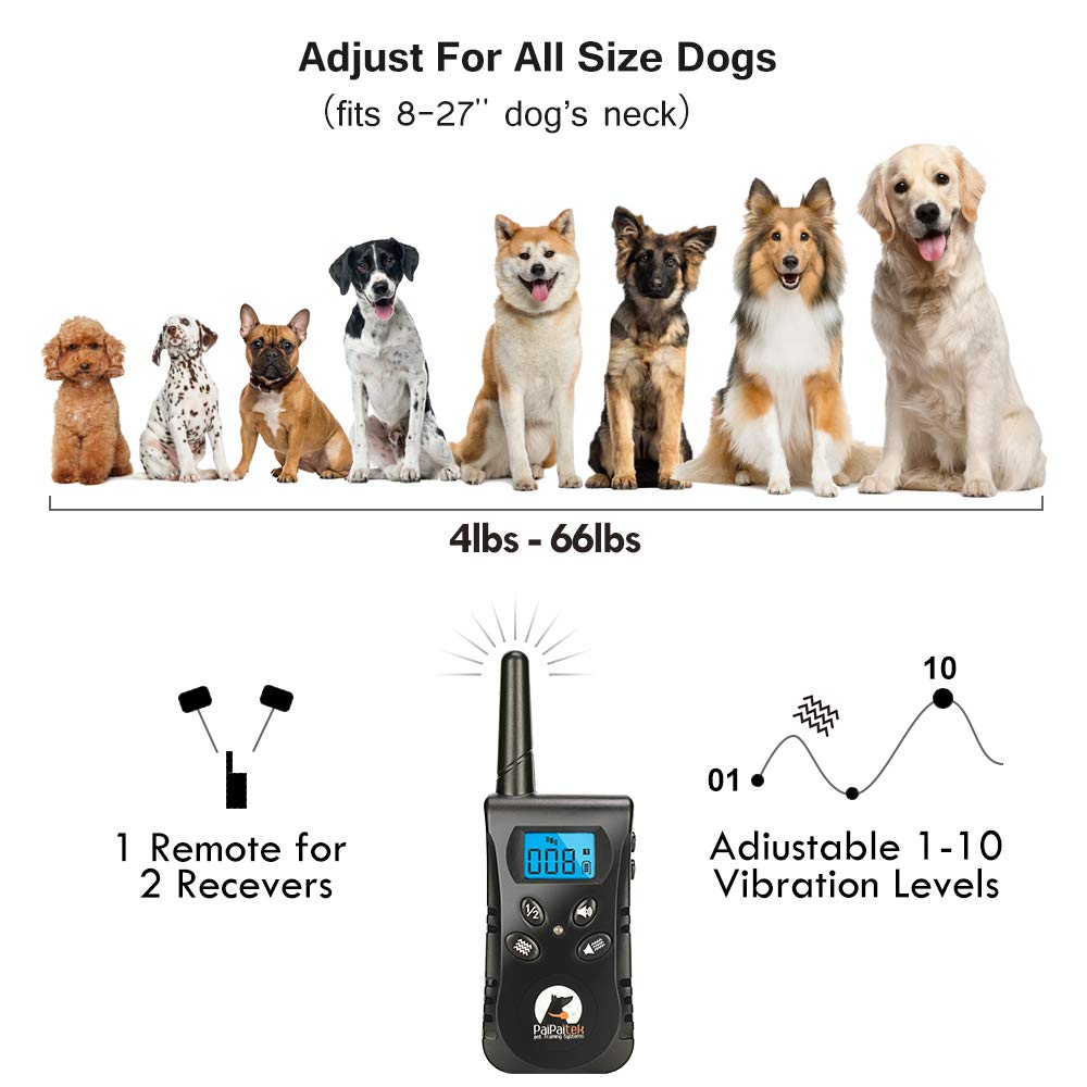 Paipaitek two-dog training collar system for backyard or park use