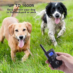 Paipaitek dog collar IPX7 waterproof for all-weather wear