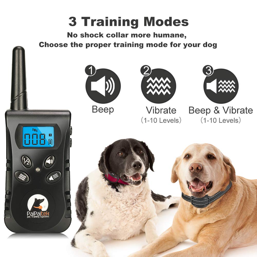 Paipaitek rechargeable collar for convenient daily use
