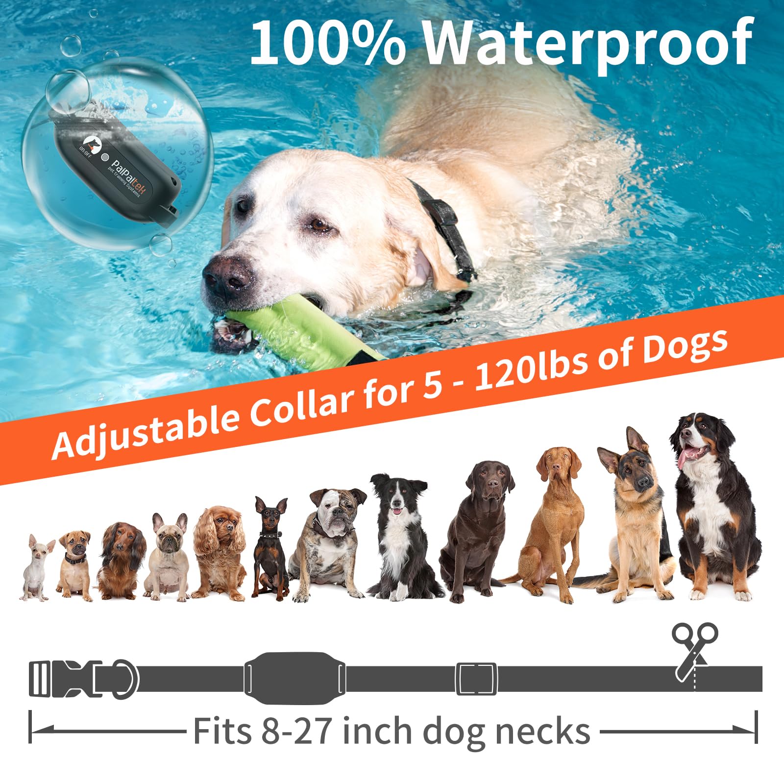 PaiPaitek collar remote shows long-range control for outdoor training.