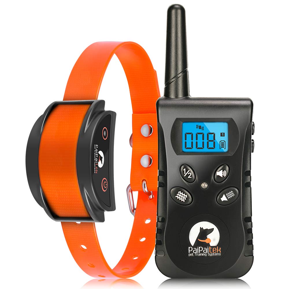 Paipaitek vibration collar on a dog in the backyard for gentle training.