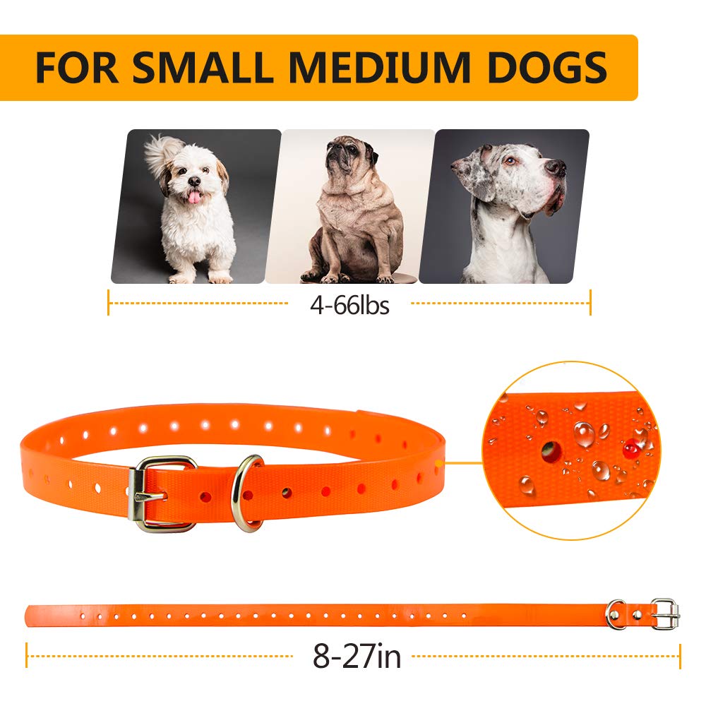 Paipaitek vibration collar 1-10 level vibration selector on leash.